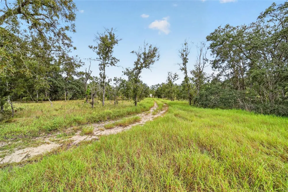 13291 SE 101ST PLACE Dunnellon, FL 34431