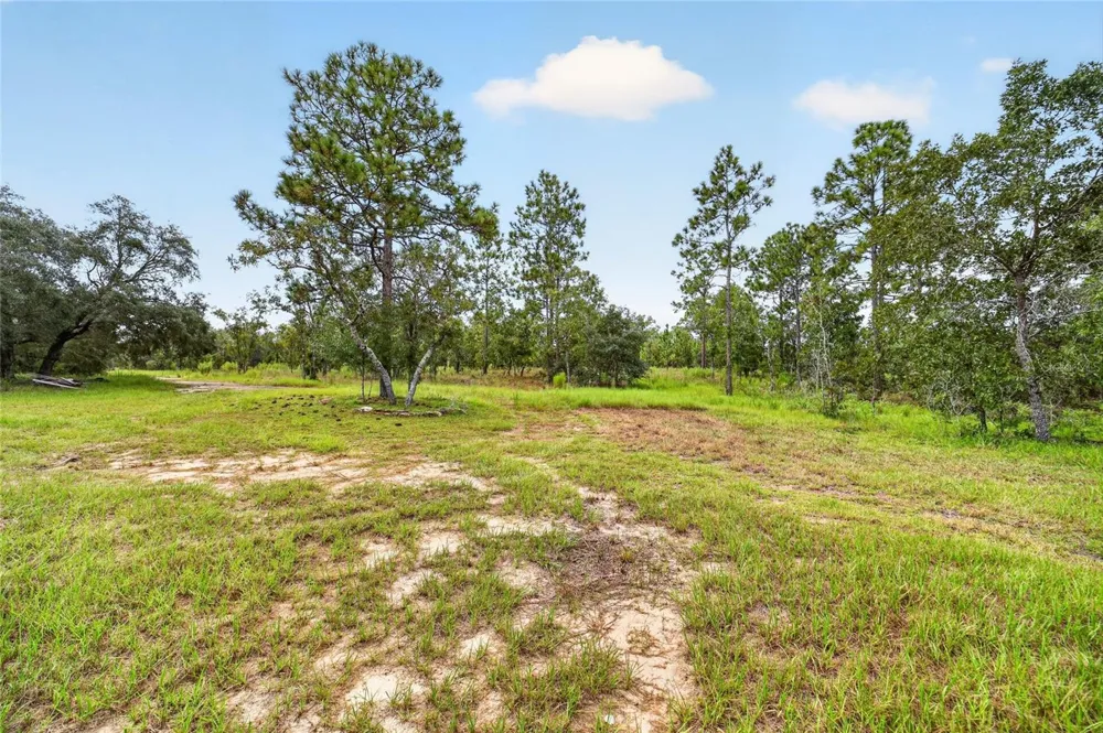 13291 SE 101ST PLACE Dunnellon, FL 34431