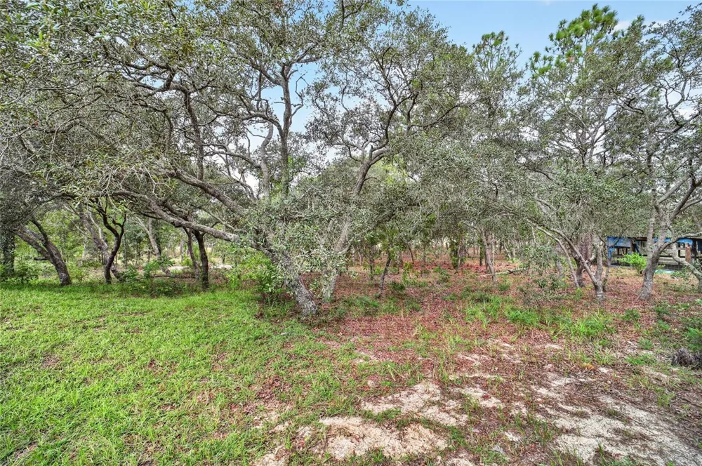 13291 SE 101ST PLACE Dunnellon, FL 34431
