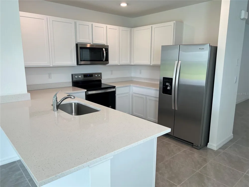 33398 DARLEY DALE TRAIL Wesley Chapel, FL 33545