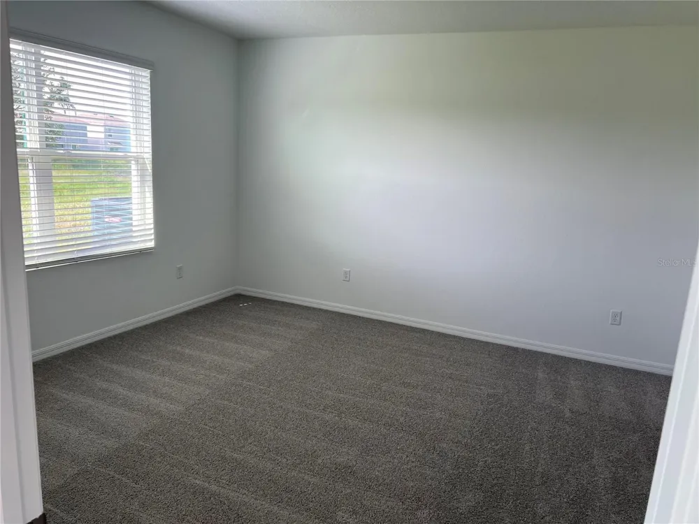 33398 DARLEY DALE TRAIL Wesley Chapel, FL 33545