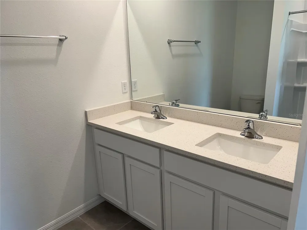 33398 DARLEY DALE TRAIL Wesley Chapel, FL 33545