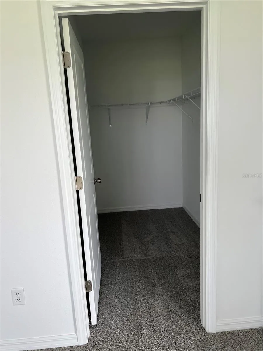 33398 DARLEY DALE TRAIL Wesley Chapel, FL 33545