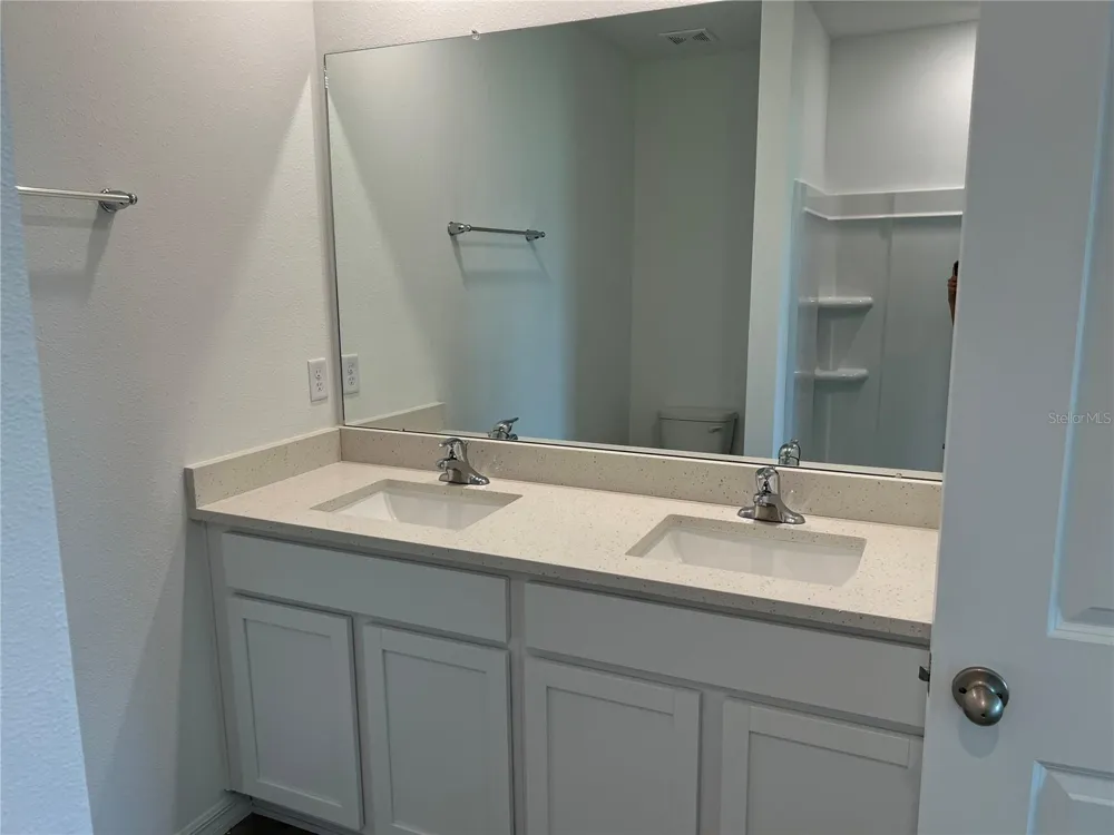 33398 DARLEY DALE TRAIL Wesley Chapel, FL 33545