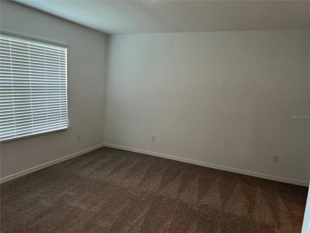 33398 DARLEY DALE TRAIL Wesley Chapel, FL 33545