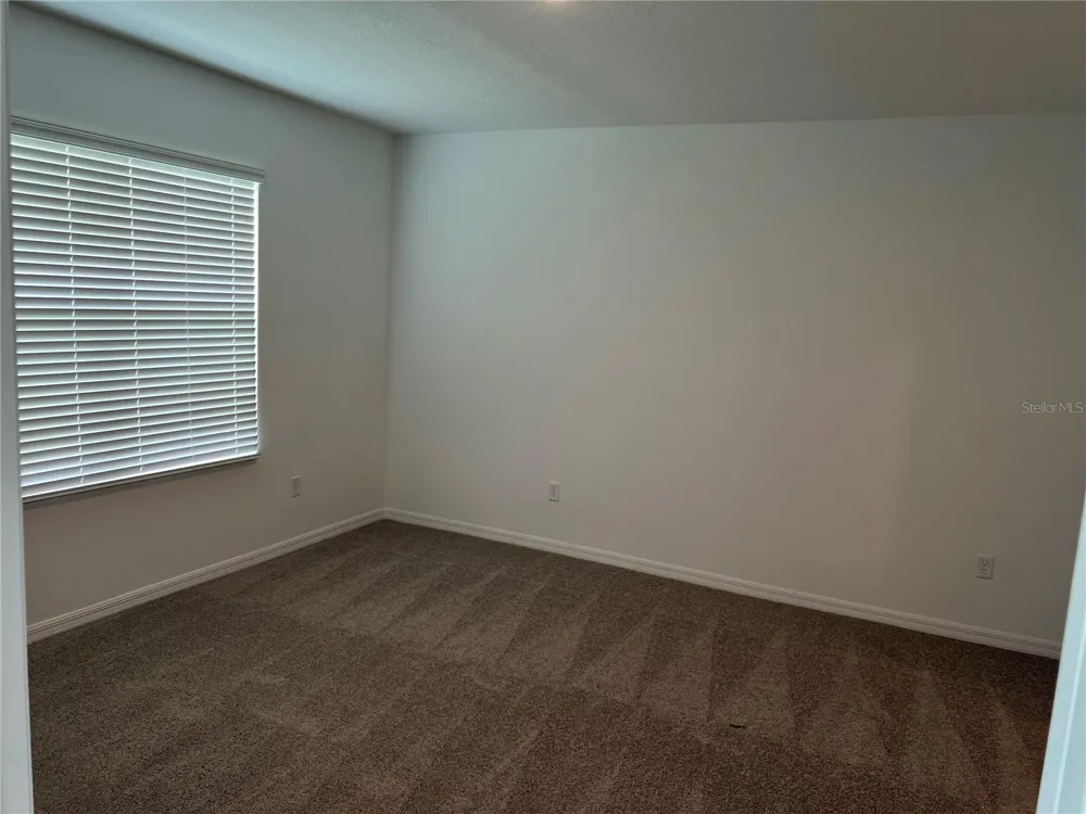 33398 DARLEY DALE TRAIL Wesley Chapel, FL 33545