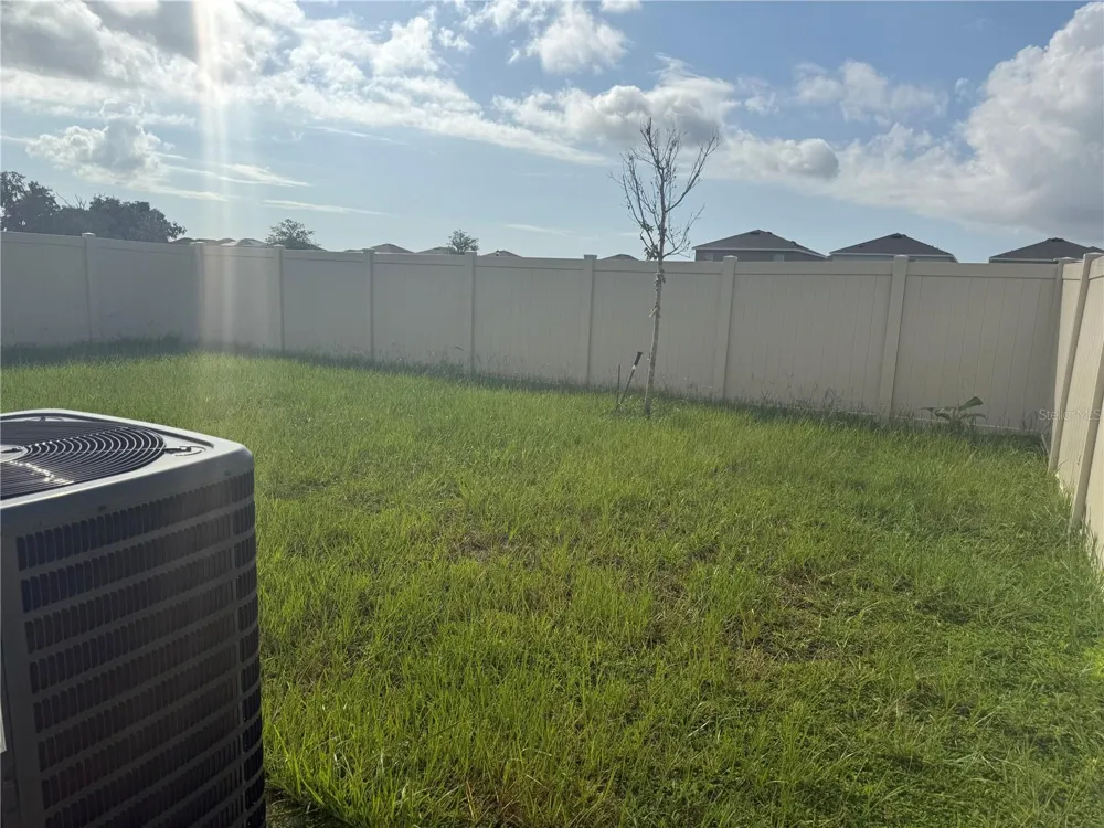 33398 DARLEY DALE TRAIL Wesley Chapel, FL 33545