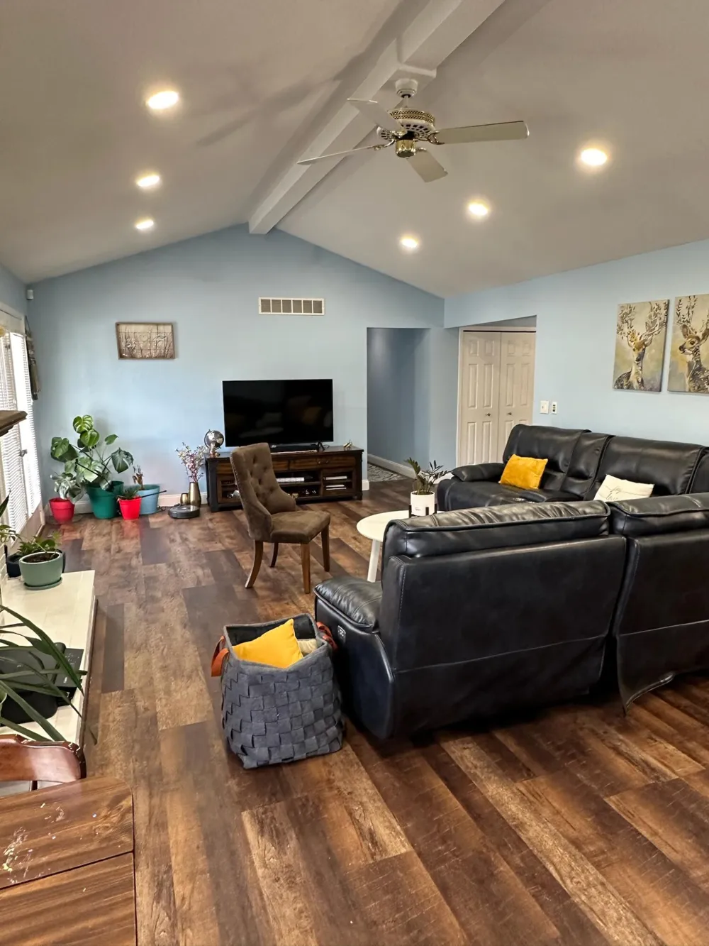 5017 Saffron Drive Troy, MI 48085