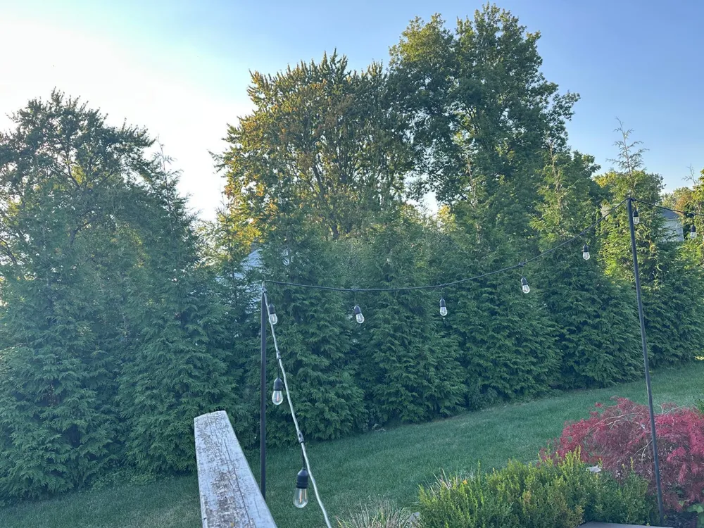 5017 Saffron Drive Troy, MI 48085