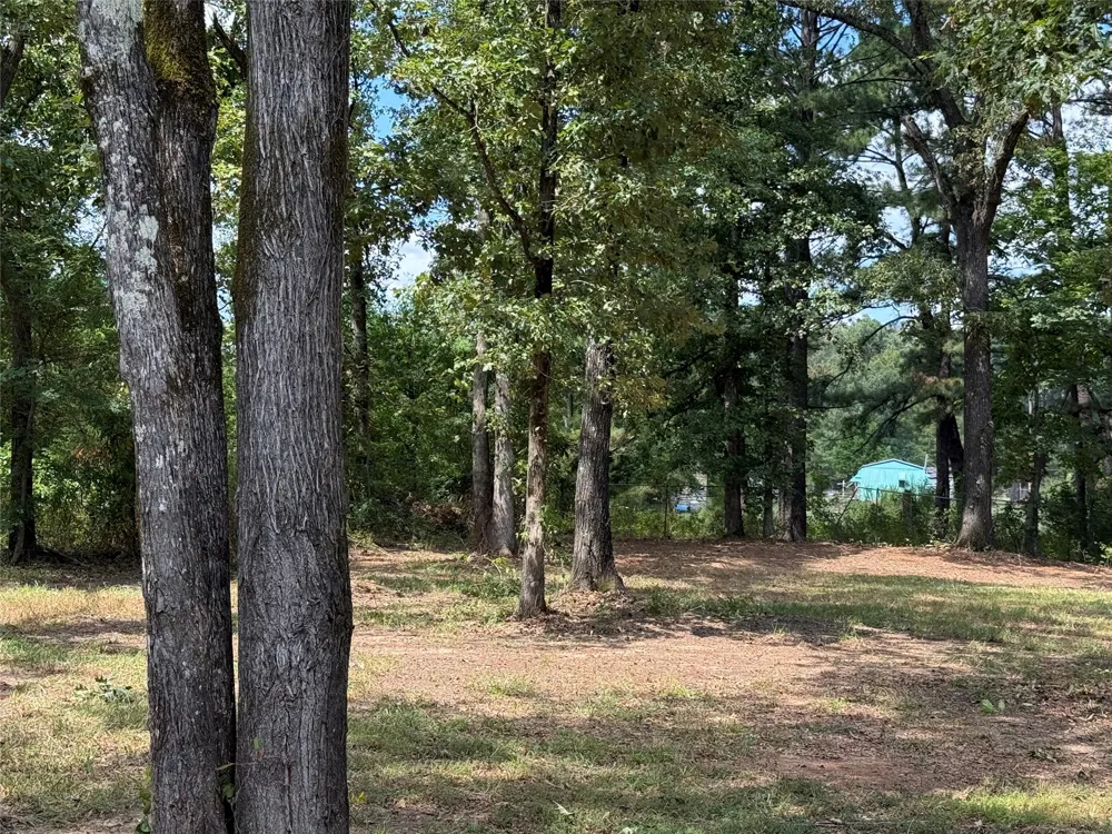 1323 Hollow Oak Lane Shreveport, LA 71107