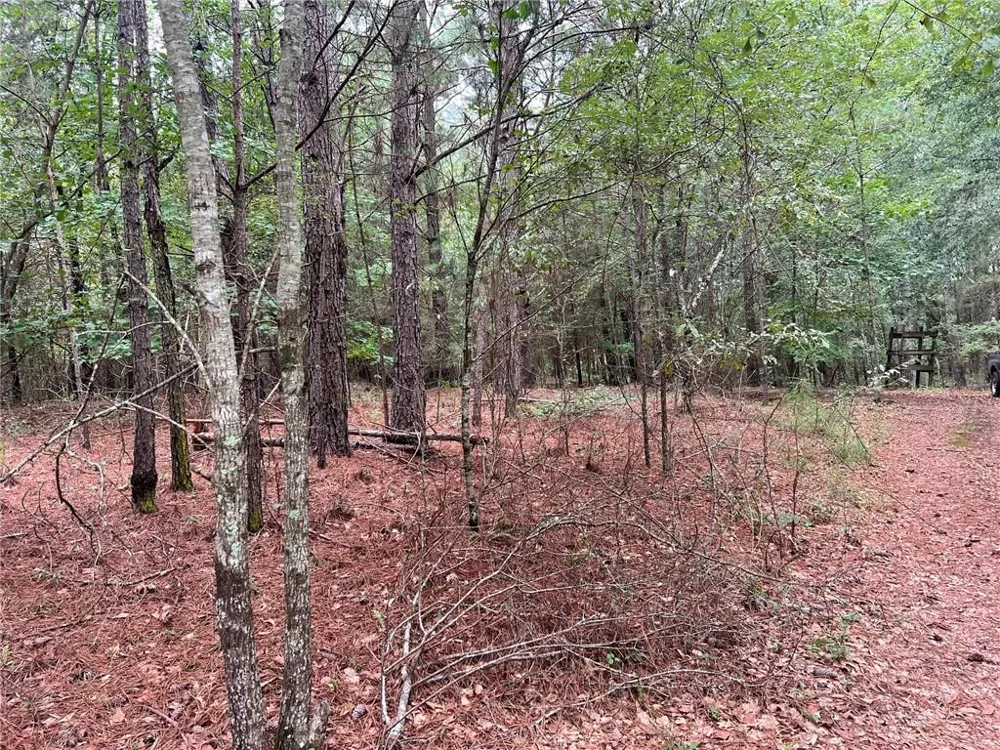1383 Sims Road Winder, GA 30680