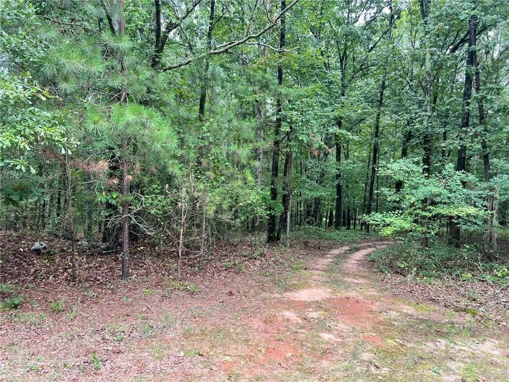 1383 Sims Road Winder, GA 30680