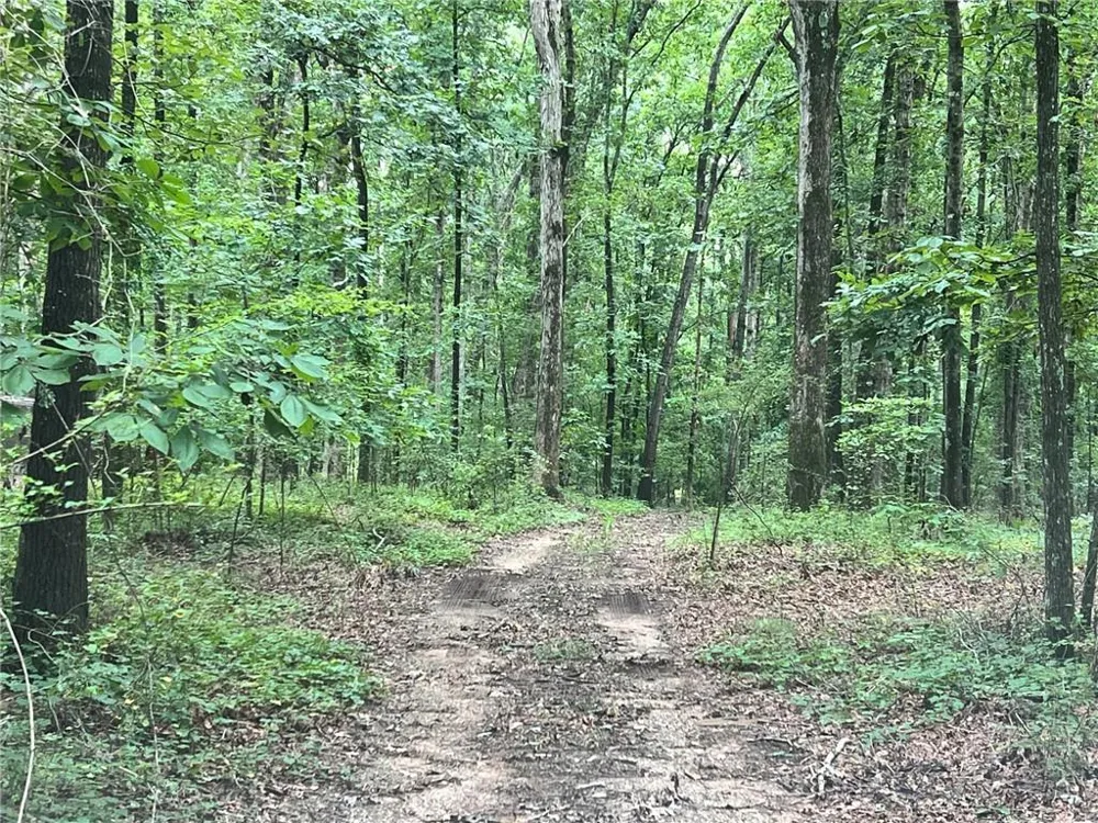 1383 Sims Road Winder, GA 30680