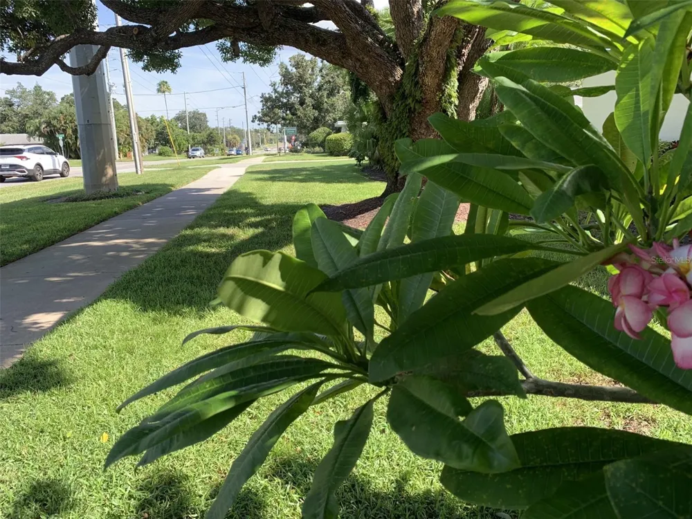 1655 S HIGHLAND AVENUE #I379 Clearwater, FL 33756