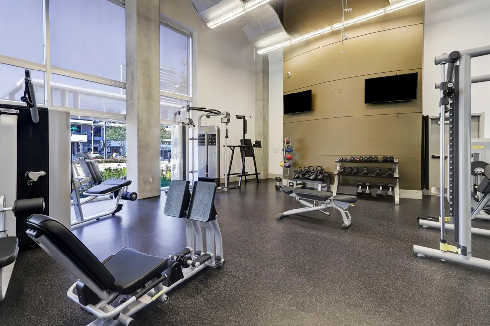 1901 Post Oak Boulevard #1211 Houston, TX 77056