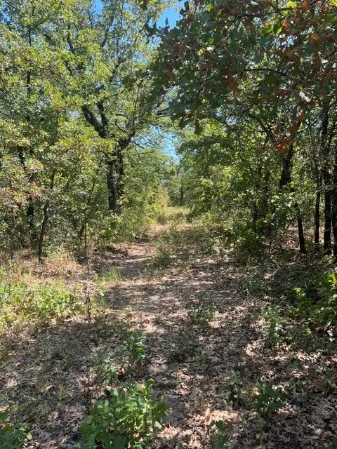 19 Mason Perrin, TX 78486
