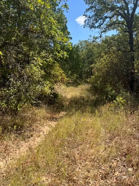 19 Mason Perrin, TX 78486