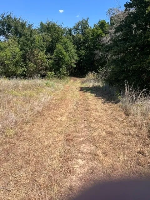 19 Mason Perrin, TX 78486