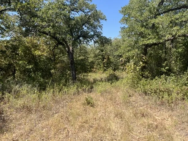 19 Mason Perrin, TX 78486