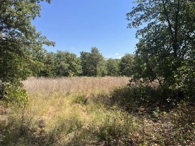 19 Mason Perrin, TX 78486