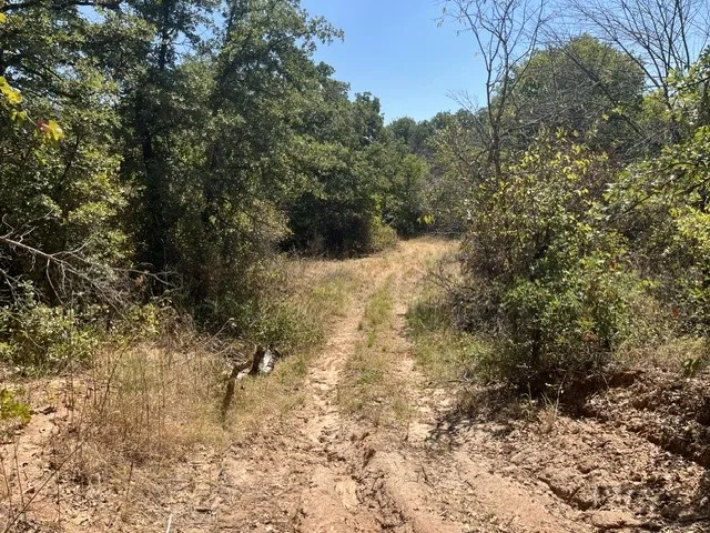 19 Mason Perrin, TX 78486