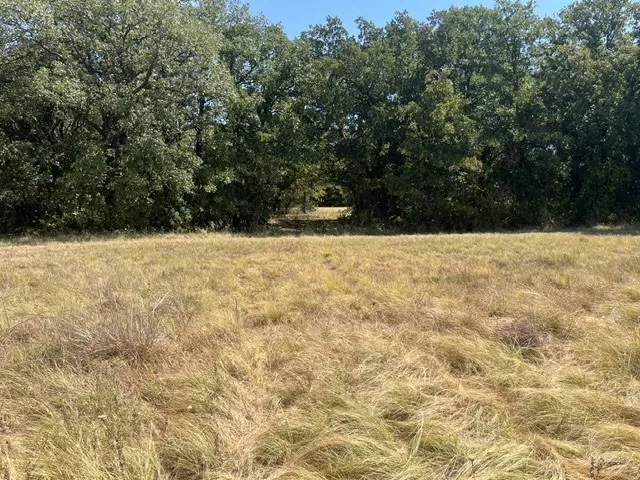 19 Mason Perrin, TX 78486