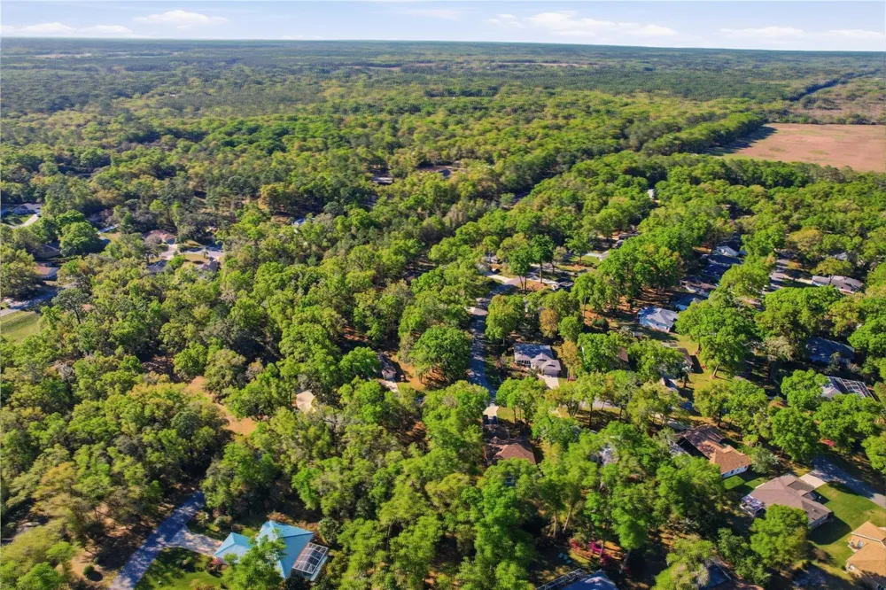 19126 SW 101ST STREET Dunnellon, FL 34432
