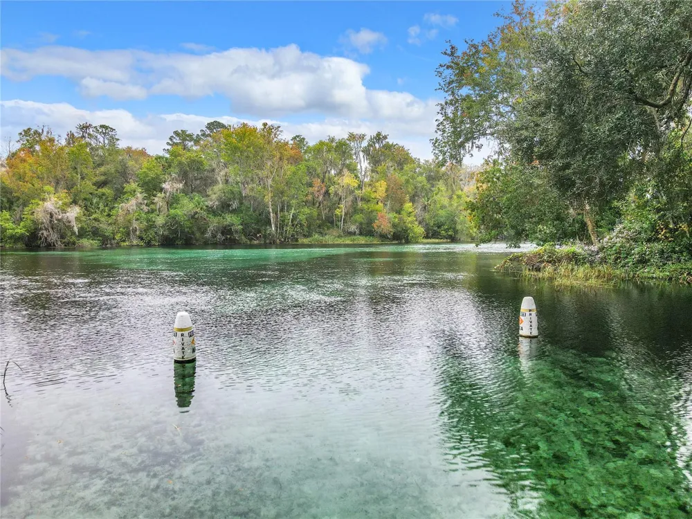19126 SW 101ST STREET Dunnellon, FL 34432
