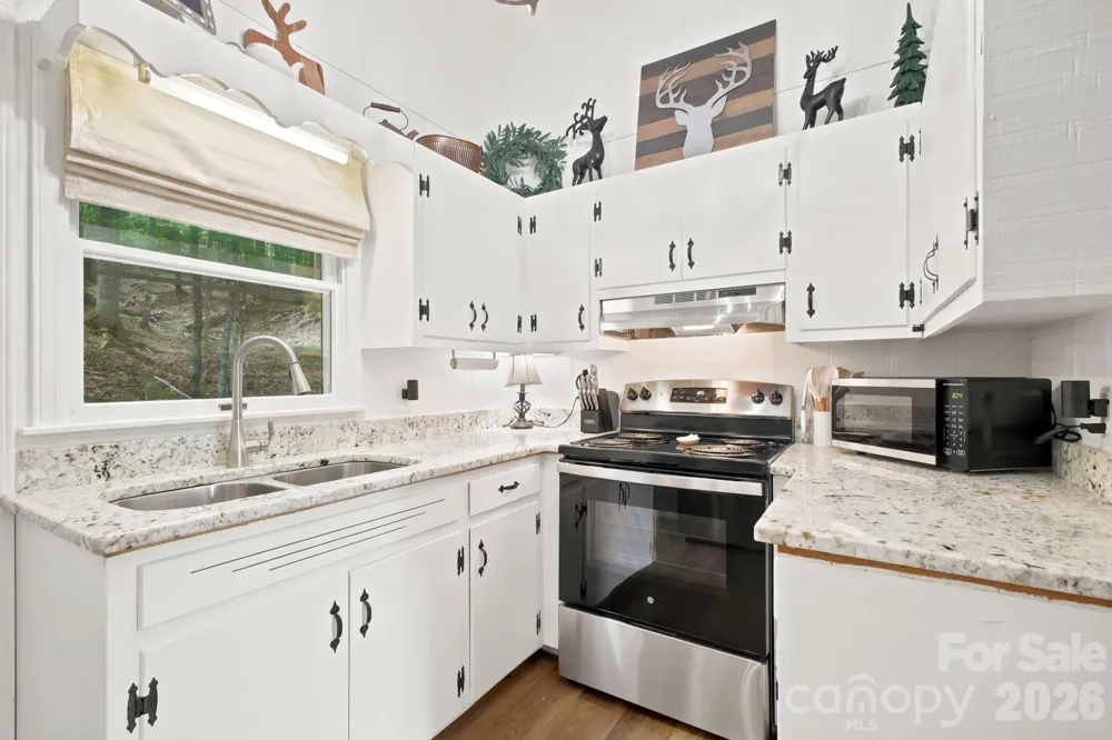 242 Charter Hills Road Beech Mountain, NC 28604