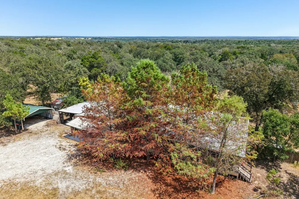 664 Hidden Oaks Drive Elgin, TX 78621