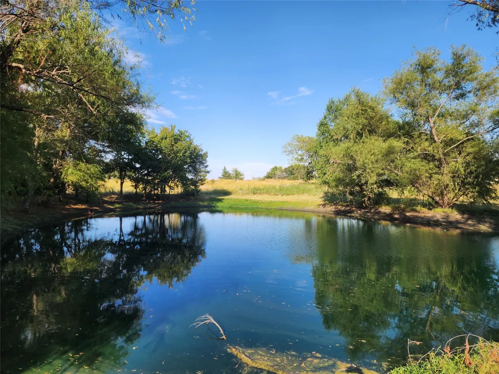 250 County Road 4140 Bonham, TX 75418