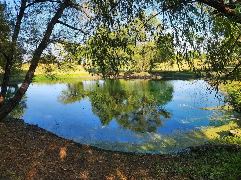 250 County Road 4140 Bonham, TX 75418
