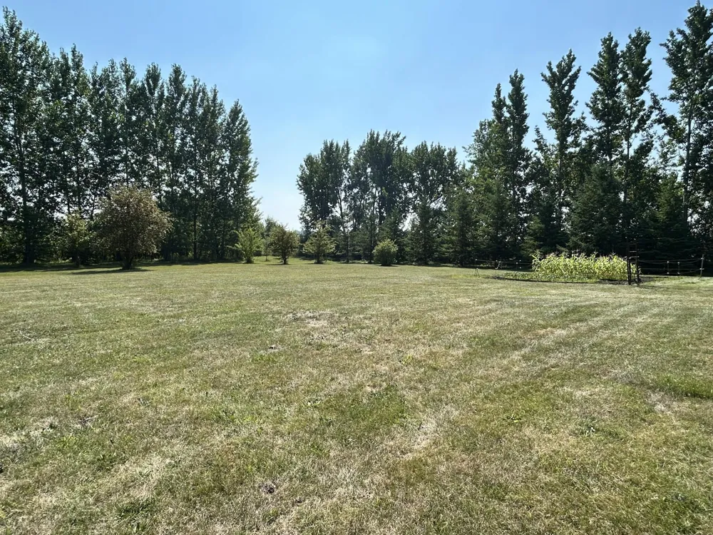 37176 270th Avenue SE McIntosh, MN 56556