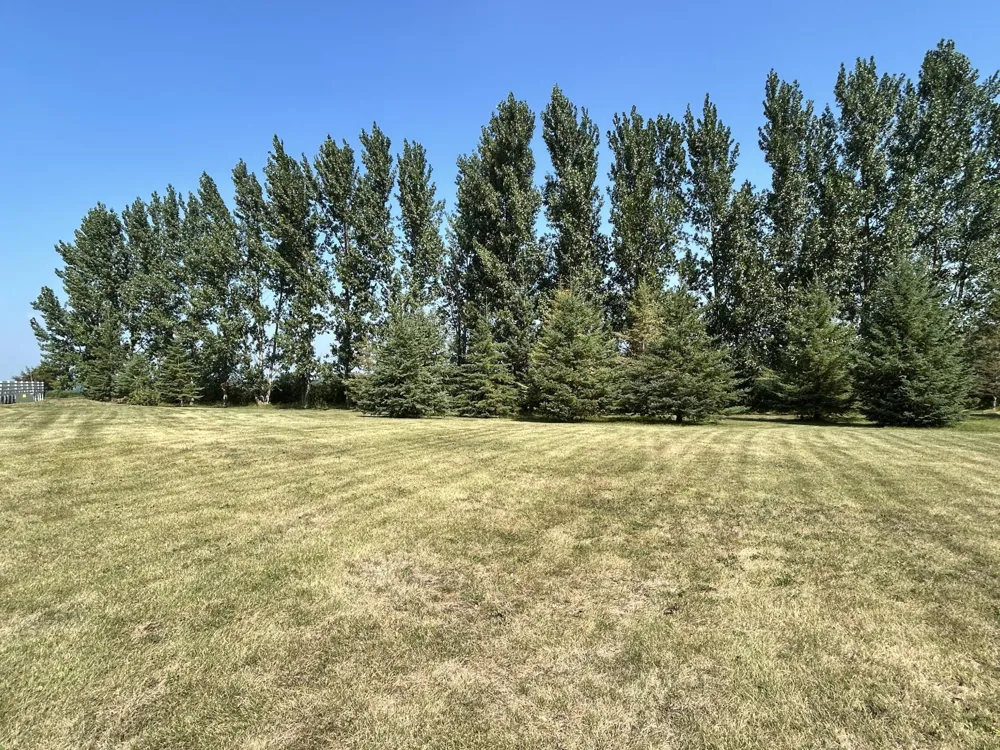 37176 270th Avenue SE McIntosh, MN 56556
