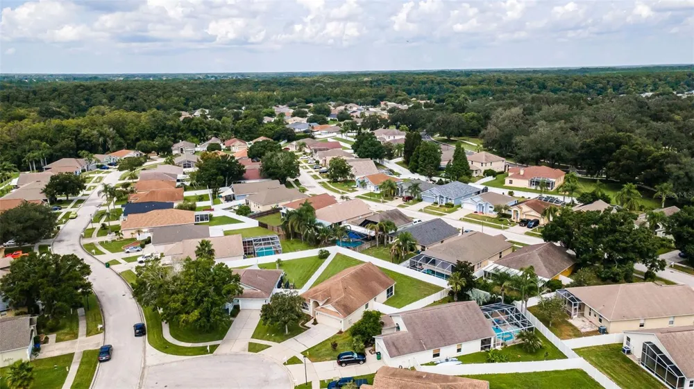 25427 SEVEN RIVERS CIRCLE Land O Lakes, FL 34639