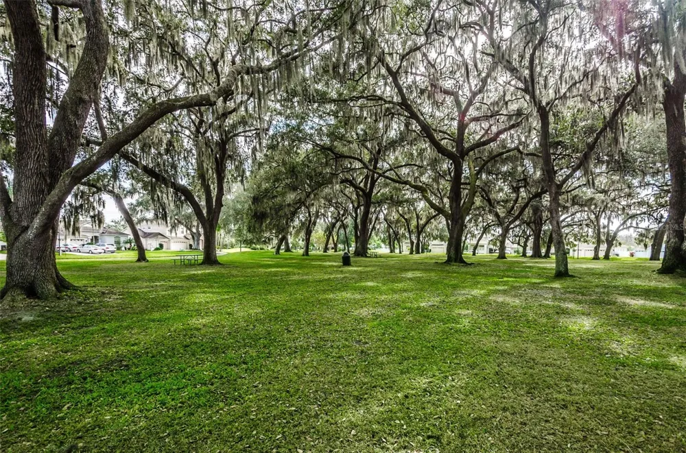 25427 SEVEN RIVERS CIRCLE Land O Lakes, FL 34639