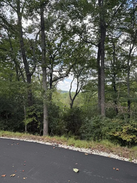 Lot 13 Sapphire Ridge