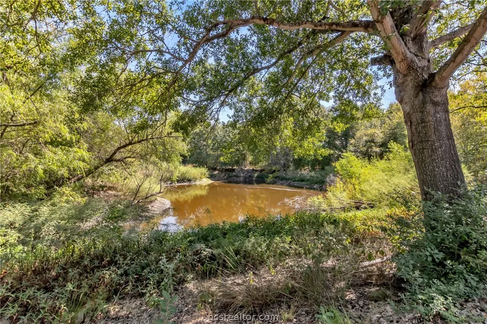 9769 FM 2096 Franklin, TX 77856