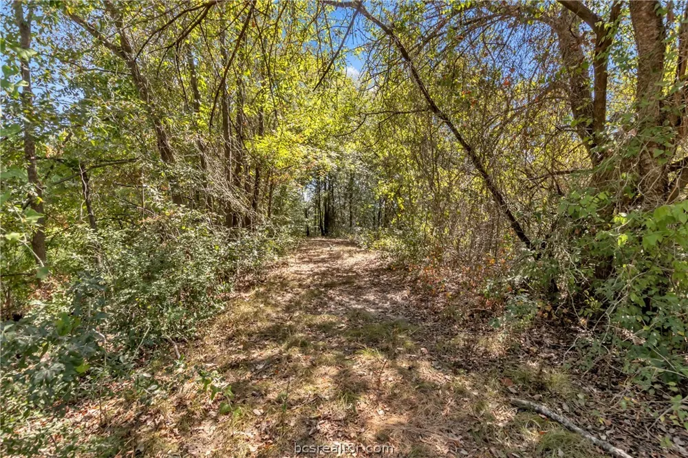 9769 FM 2096 Franklin, TX 77856