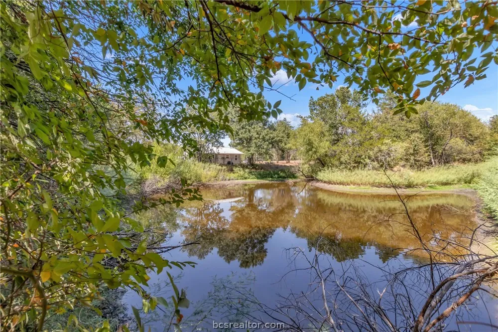9769 FM 2096 Franklin, TX 77856