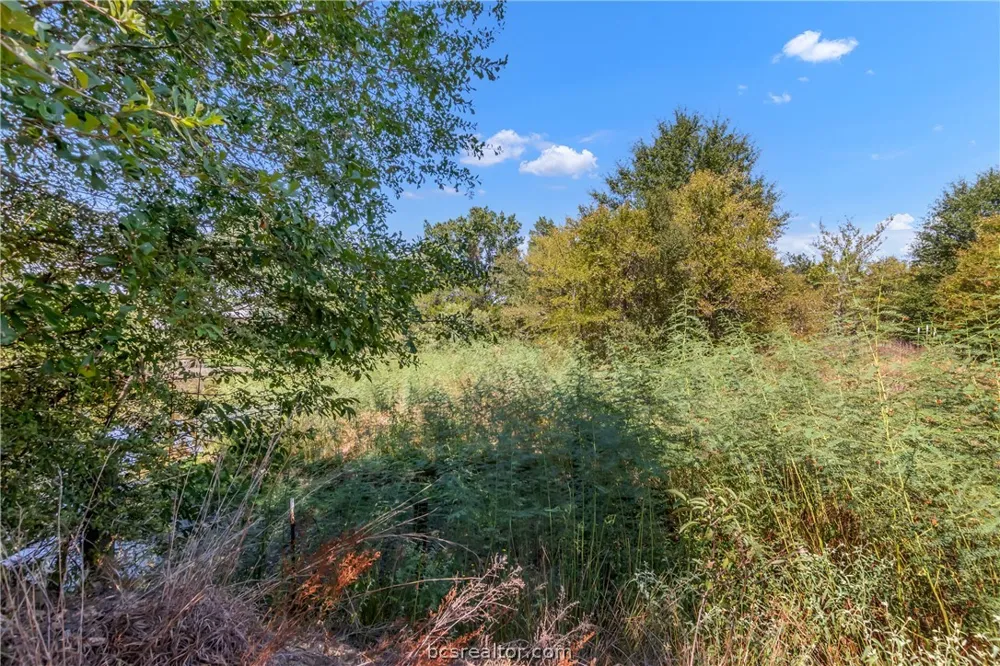 9769 FM 2096 Franklin, TX 77856