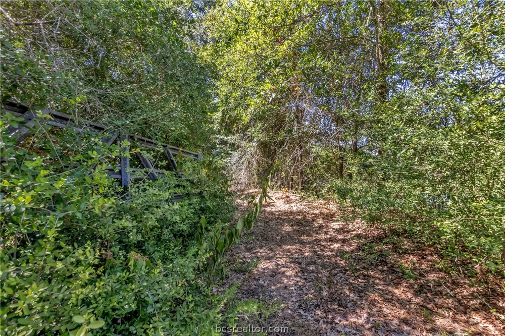 9769 FM 2096 Franklin, TX 77856