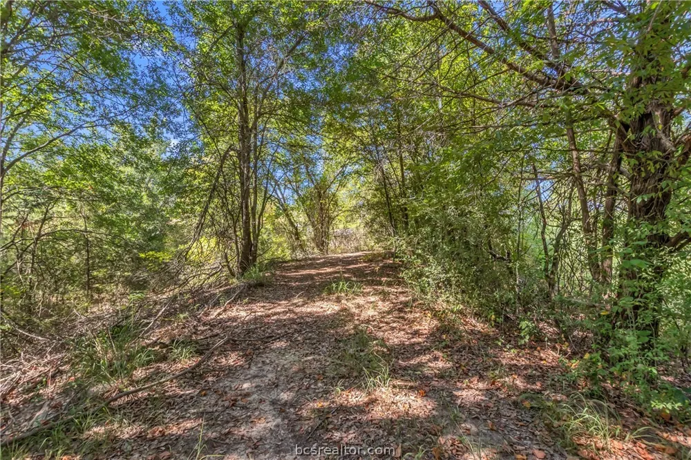 9769 FM 2096 Franklin, TX 77856
