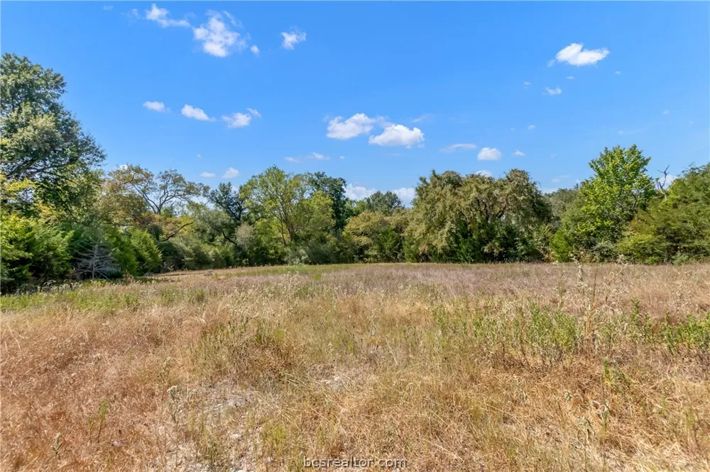 9769 FM 2096 Franklin, TX 77856