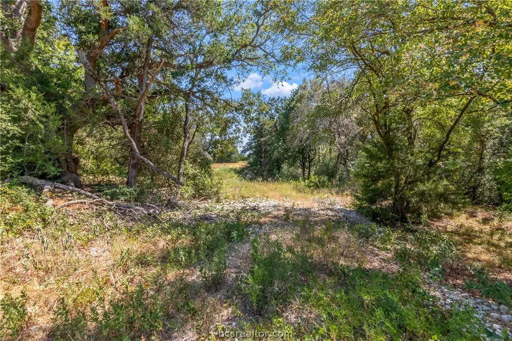 9769 FM 2096 Franklin, TX 77856