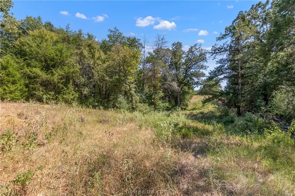 9769 FM 2096 Franklin, TX 77856