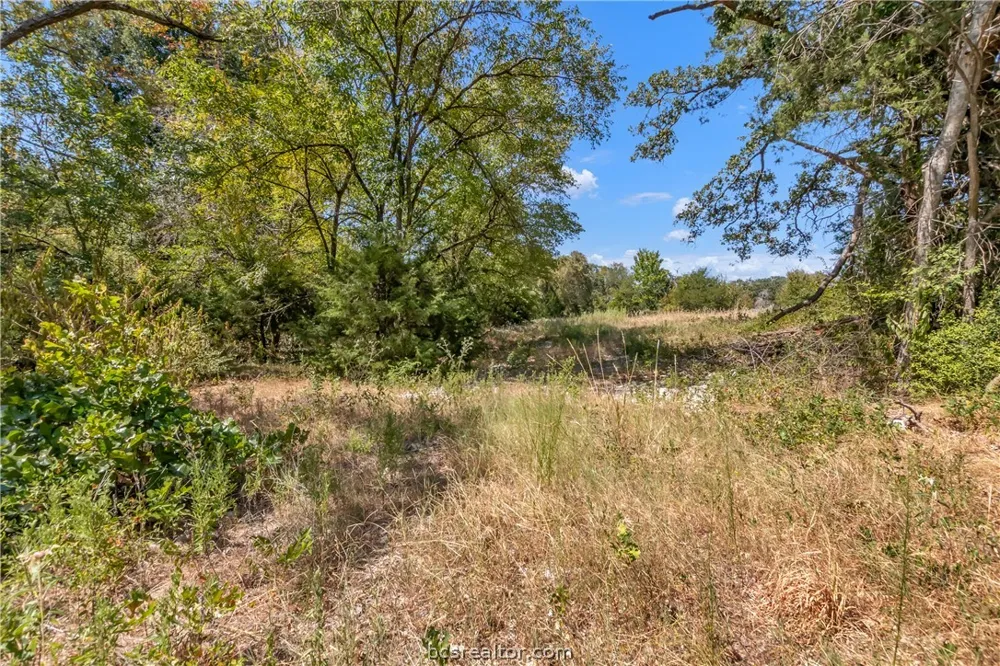 9769 FM 2096 Franklin, TX 77856