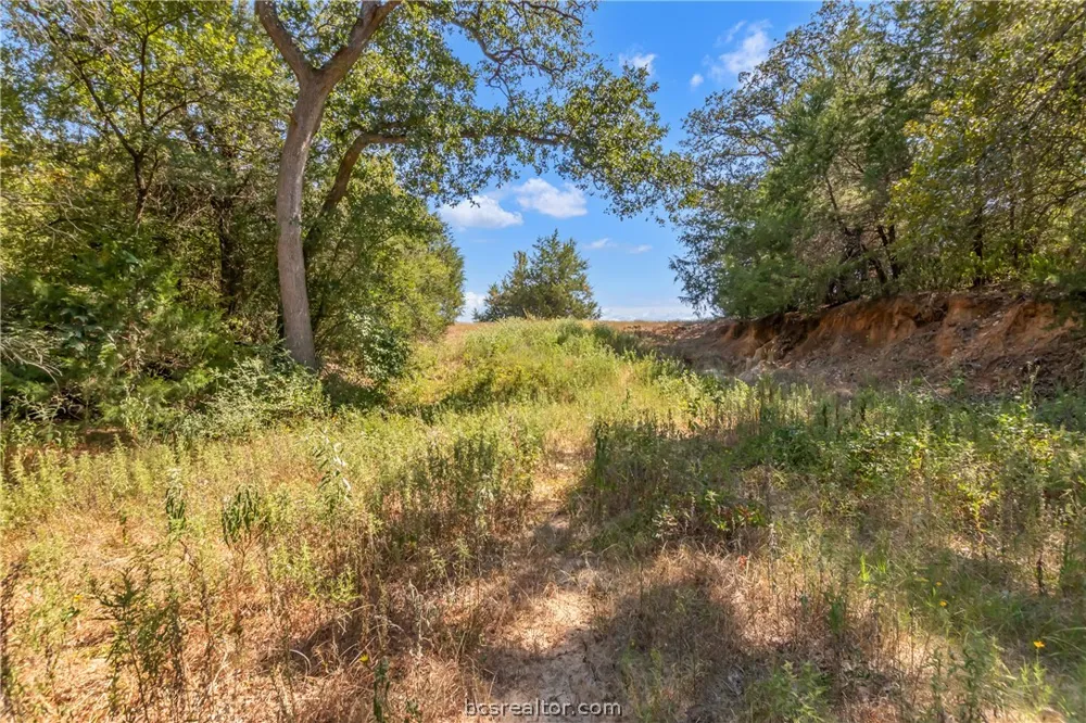 9769 FM 2096 Franklin, TX 77856