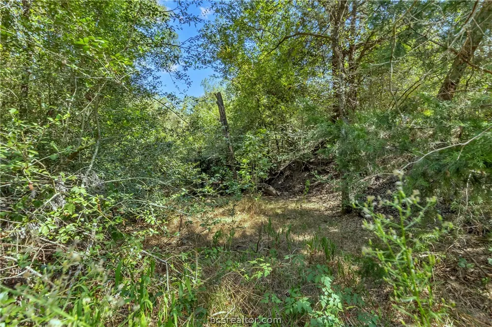 9769 FM 2096 Franklin, TX 77856