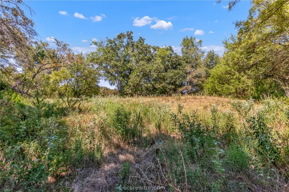 9769 FM 2096 Franklin, TX 77856